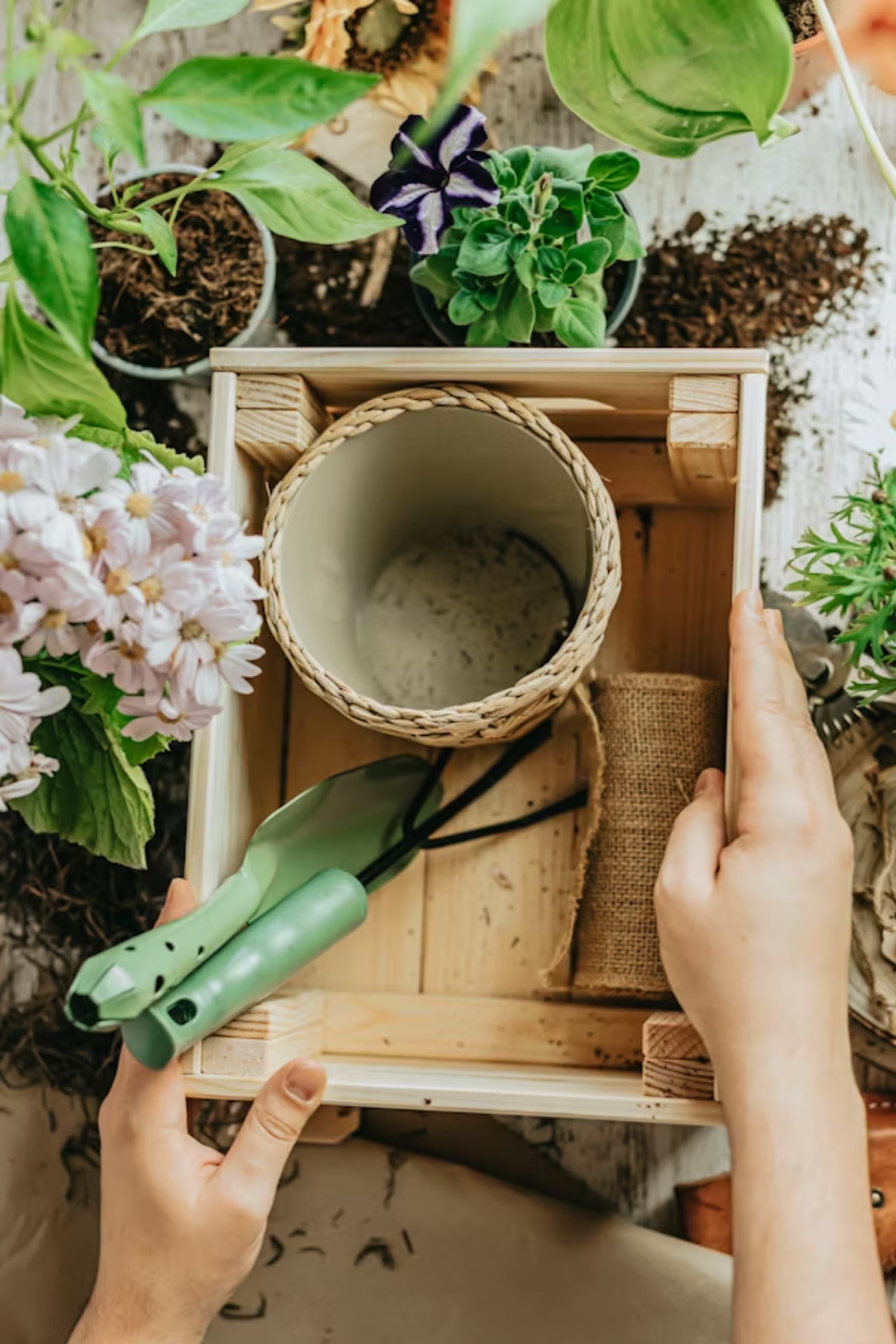 Ateliers pour enfants