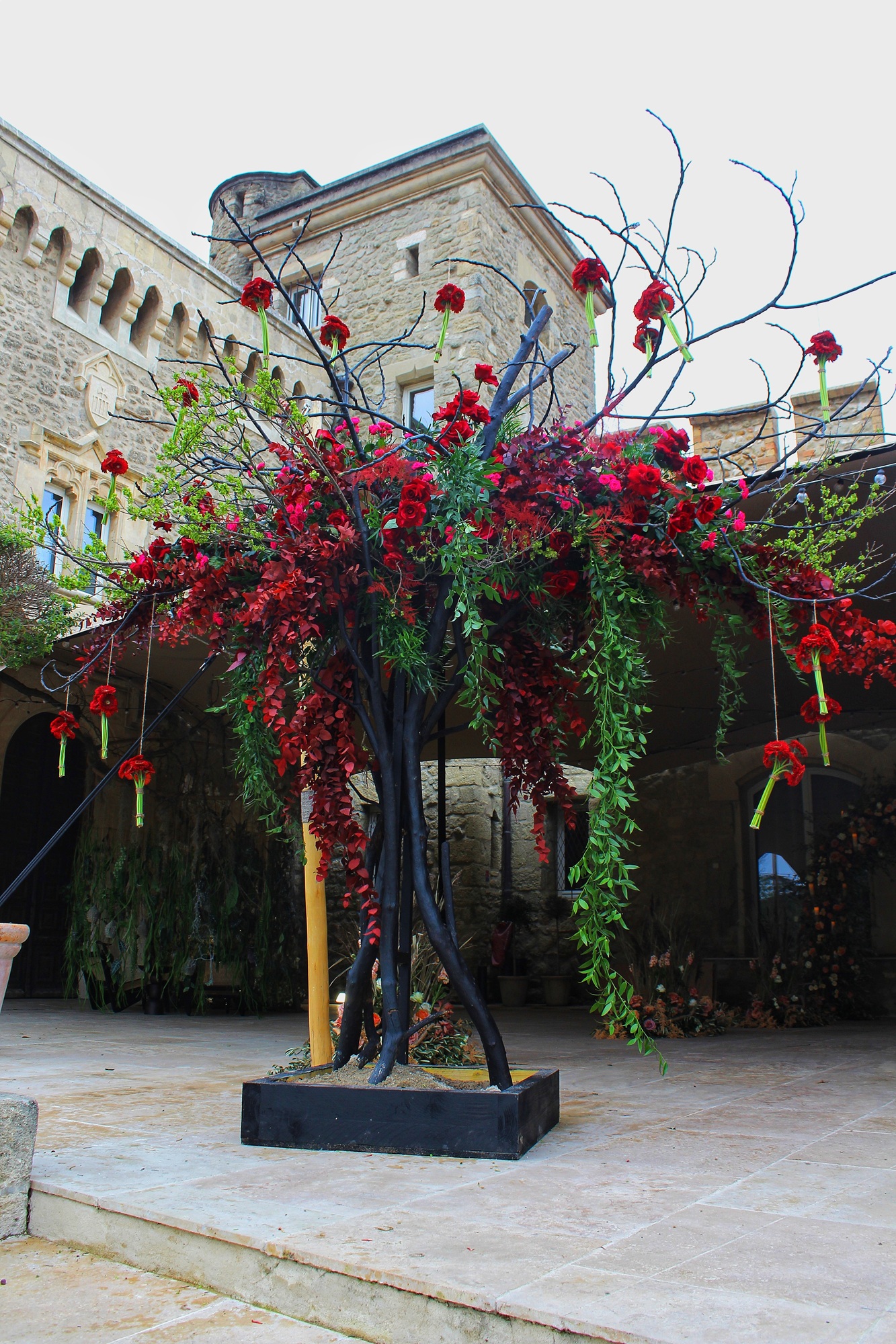 Photos formation fleurs (7)